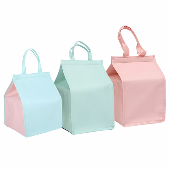 Изготовленная на заказ 6 пакетов нетканая изолированная термосумка-холодильник для обеда, оптовая продажа, производство в Китае